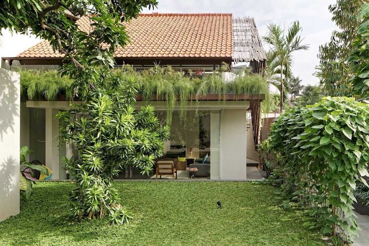 Simak, Ide Desain Taman Rindang untuk Halaman Rumah